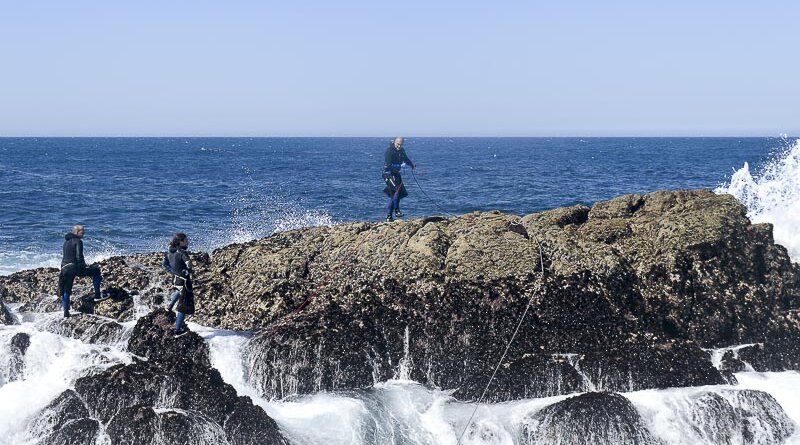 Percebes høstes på klipper i havet ud for Galiciens Costa da Morte, Dødens Kyst. Foto: Astrid Hjorth